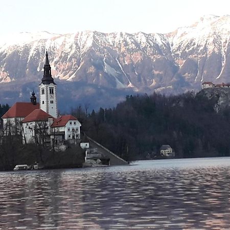 Alp Apartma Radovljica Exteriér fotografie