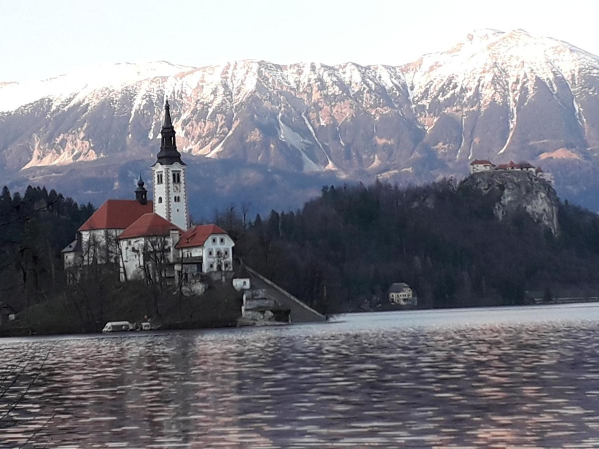 Alp Apartma Radovljica Exteriér fotografie